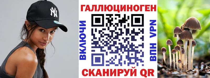 Галлюциногенные грибы Psilocybine cubensis  Жуковка 