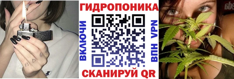 Бошки марихуана OG Kush  где продают наркотики  Жуковка 